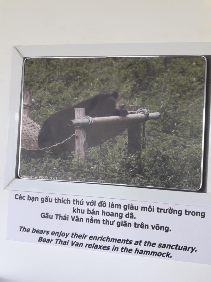 Khai Yen Tam Coc *